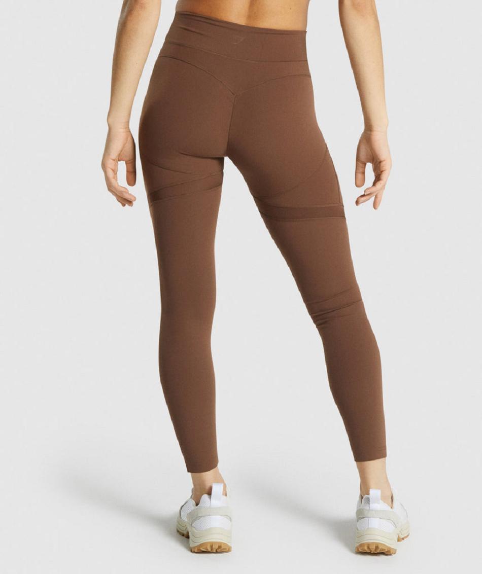 Gymshark Whitney Mesh Ženske Tajice Smeđe | HR 4069QMA